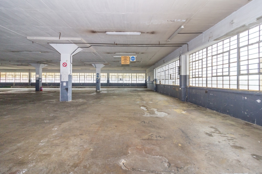 To Let commercial Property for Rent in Korsten Eastern Cape